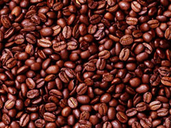 Arabica Coffee Beans